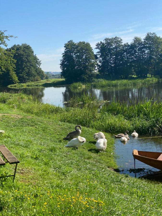 Idyllische Ferienwohnungen In Mossendorf Blick Zur Naab Burglengenfeld Ngoại thất bức ảnh
