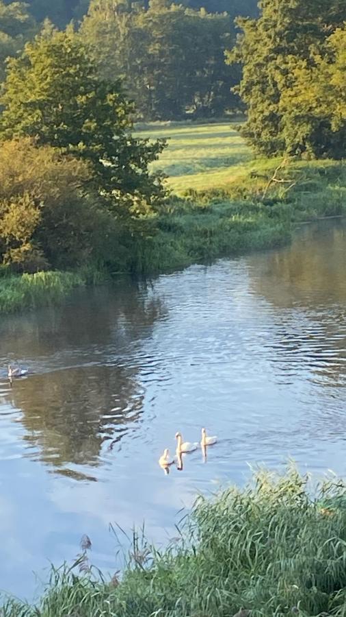 Idyllische Ferienwohnungen In Mossendorf Blick Zur Naab Burglengenfeld Ngoại thất bức ảnh